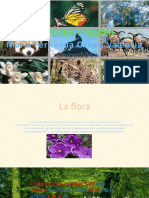 La Flora y Fauna