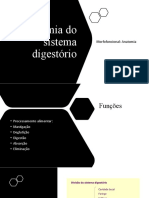 Anatomia Do Sistema Digestório