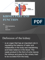 Kidney