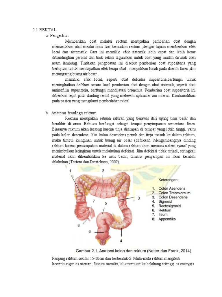 Pemberian Obat Melalui Rektal | PDF
