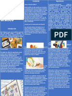 Triptico de Diseño Grafico