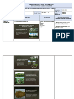 Matriz Act. Grado 3