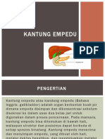 Kantung Empedu