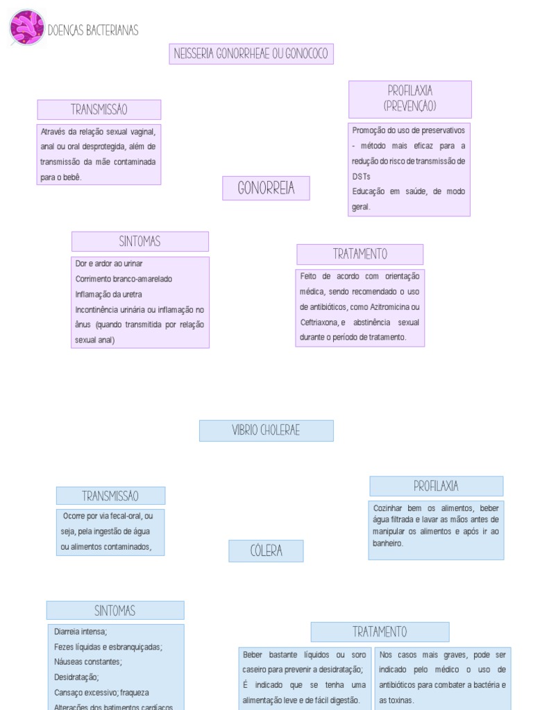 mapa-mental-bact-pdf-epidemiologia-microbiologia