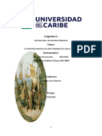 Los Derechos Humanos en Santo Domingo en La Época Colonial