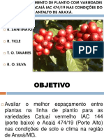 2--Espaçamento de Plantio- Congresso Caxambu T.TAVARES