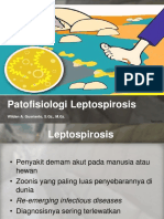 Patofisiologi Leptospirosis