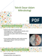 Teknik Dasar Dalam Mikrobiologi