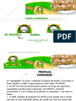 Vdocuments - MX Prezentare Franciza PDF