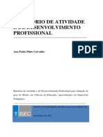 Relatório Final Ana Paula Pinto Carvalho