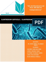 Clostridium Difficile _ Clostridium Botulinum (2)