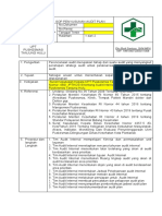 SOP Audit Plan