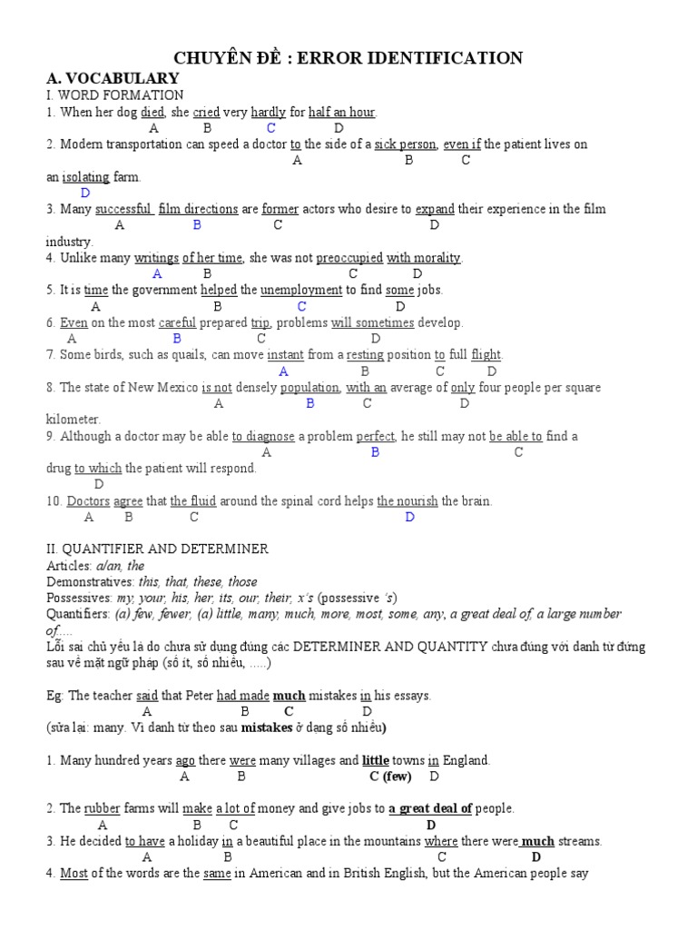 Error Identification in English Grammar | PDF | Nature