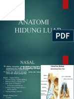 Anatomi Hidung Luar