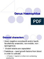 E Haemophilus