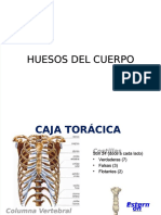 PDF Huesos Del Torax DL