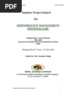 Summer Project Report On: Performance Management System in Gail