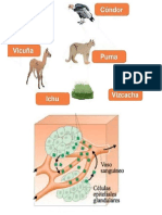 cadena alimenticia y glándula endocrina