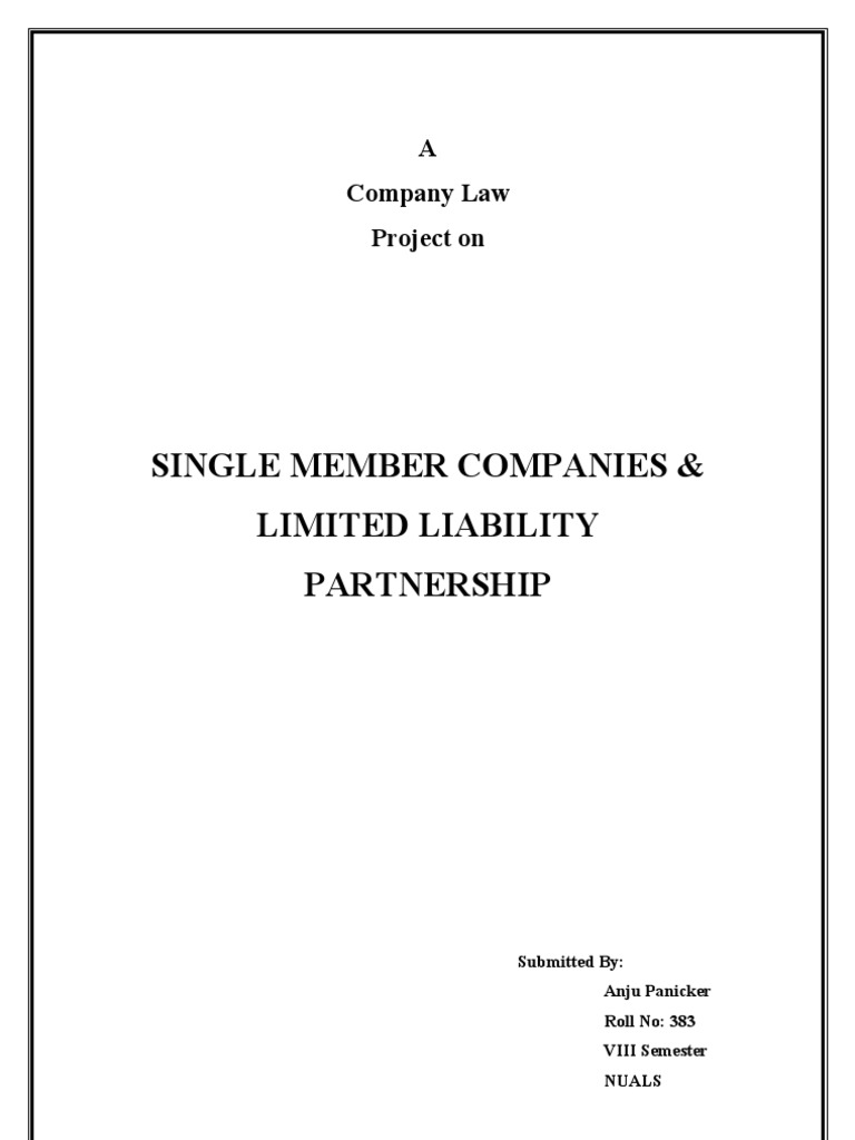 Single Member Companies & Limited Liability Partnership | PDF | Limited ...