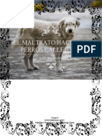 EL MALTRATO DE LOS PERROS CALLEJEROS 1