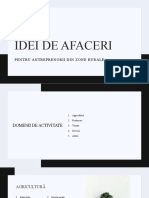 Idei de Afaceri