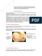 Urgencias Oftalmologicas