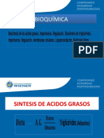 CLASE 2 Biosintesis - de - Acidos - Grasos - 32 - 0 (3) 2019