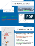 Clase 3 Lipoproteinas y Colesterol