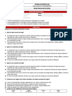 Evaluacion Izaje Manuales de Carga