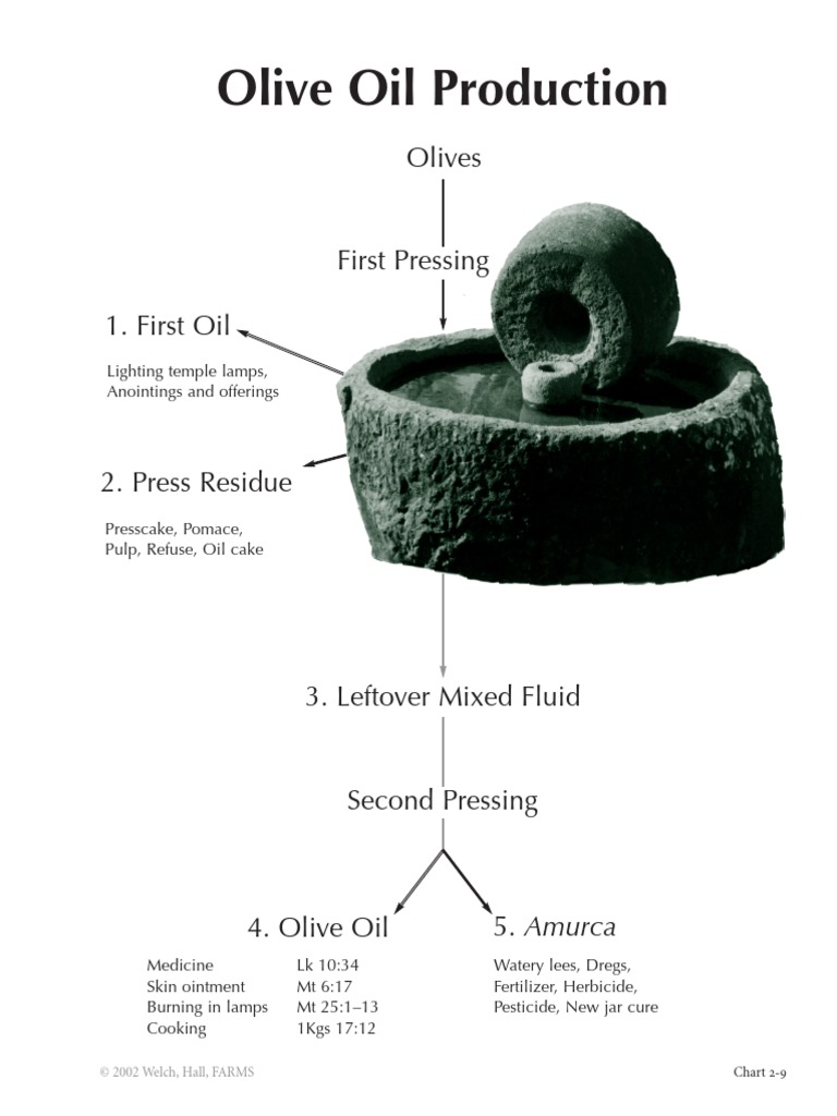 2-9 Olive Oil Production | PDF | Home & Garden | Science & Mathematics