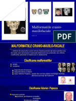 Malformatiile cranio-maxilofaciale curs 11