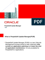 Peoplesoft Update Manager