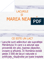 Lacurile Si Marea Neagra