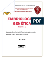 Laboratorio II Embriología y Genética - Diana Ramirez Arche