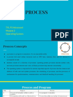 Process: TYL P2 Advanced Operating System
