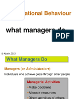 Organisational Behaviour: What Managers Do