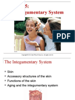 Integumentary System Tortora