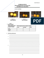 Modul 8 Doc