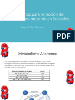 Anammox Para Remoción de Nitrotrogeno Presente en Lixiviados