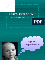 Sistem Reproduksi