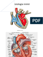 Fiziologia Inimii 1 2020-6004