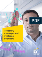 Treasury Management Systems Overview