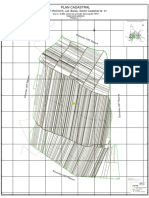 Plan Cadastral Uat Racova Bacau Sector Cadastral 21