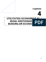 Capitolul IV-Economie