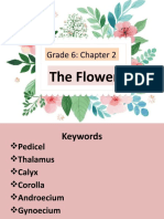 Grade 6 The Flower PPT 1