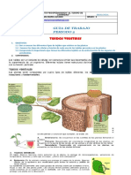 GUIA-TALLER DE BIOLOGIA GRADO SEXTO (1) (2)