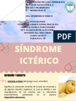 Sindrome Ictèrico Info