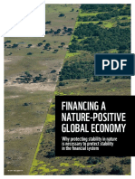 Financing A Nature-Positive Global Economy