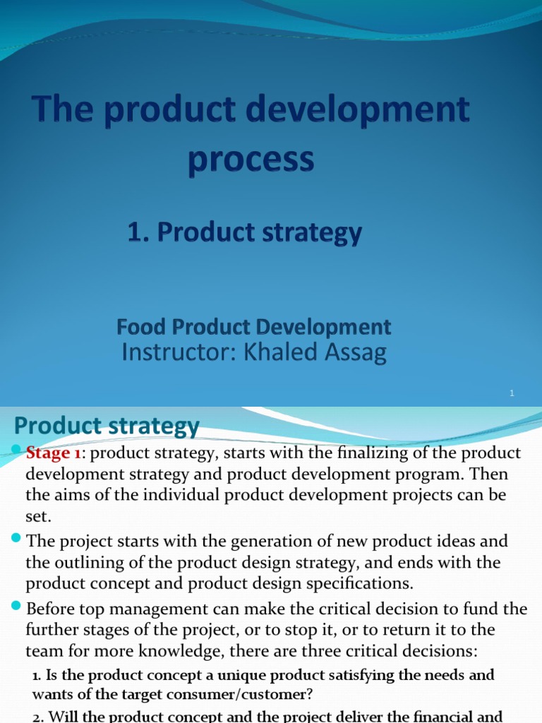 Product Development Strategy Guide | PDF | New Product Development ...