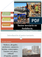 Sector Terciario Andaluz